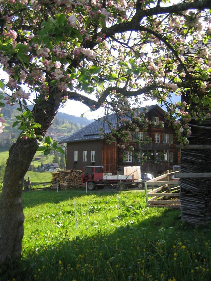 Chalet Baergblick Grindelwald Dış mekan fotoğraf