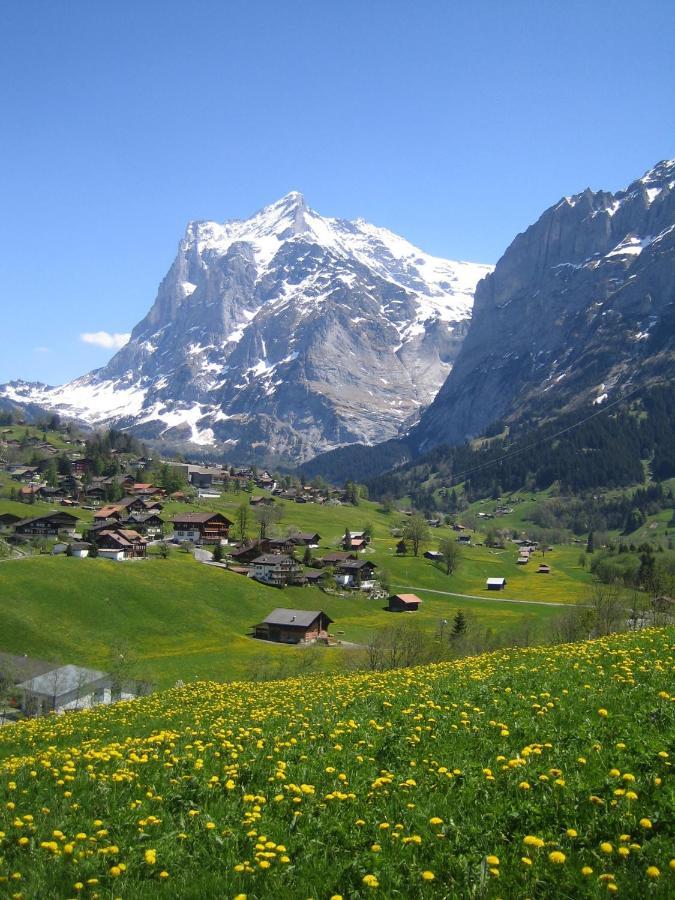 Chalet Baergblick Grindelwald Dış mekan fotoğraf