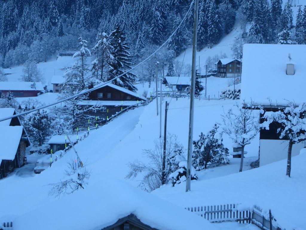 Chalet Baergblick Grindelwald Dış mekan fotoğraf