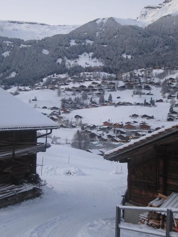 Chalet Baergblick Grindelwald Oda fotoğraf