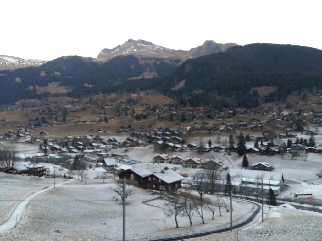Chalet Baergblick Grindelwald Dış mekan fotoğraf
