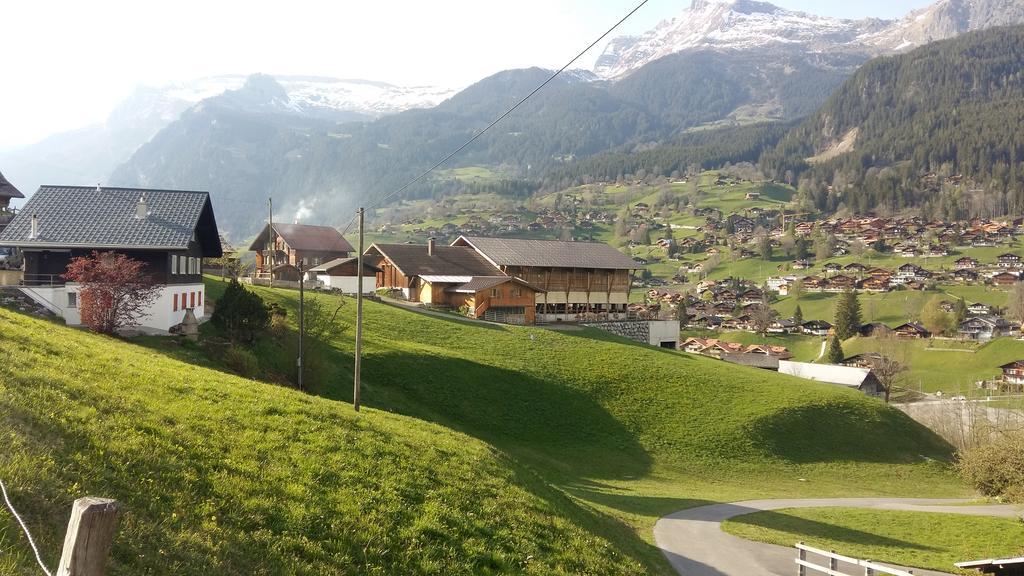 Chalet Baergblick Grindelwald Dış mekan fotoğraf