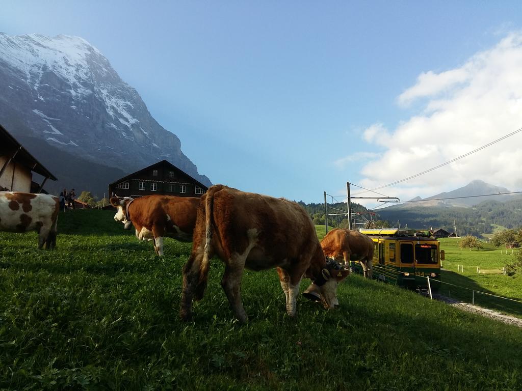 Chalet Baergblick Grindelwald Dış mekan fotoğraf