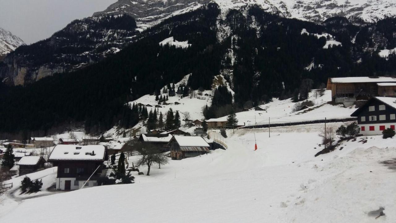 Chalet Baergblick Grindelwald Dış mekan fotoğraf