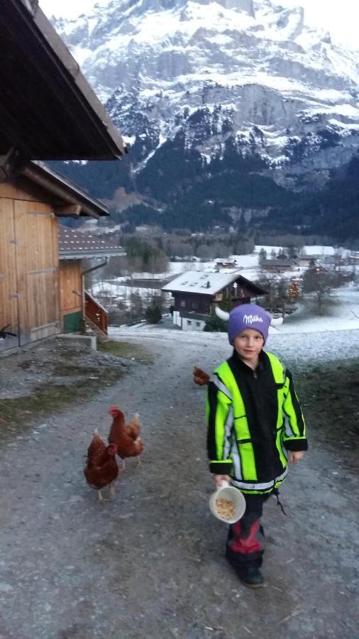 Chalet Baergblick Grindelwald Dış mekan fotoğraf